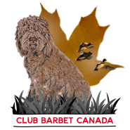 logo club barbet canada 2026