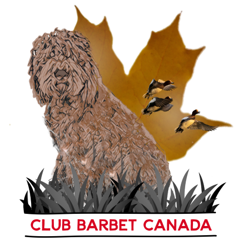 logo club barbet canada 2026