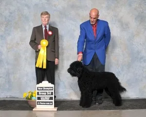 gch. treebeard's galileo