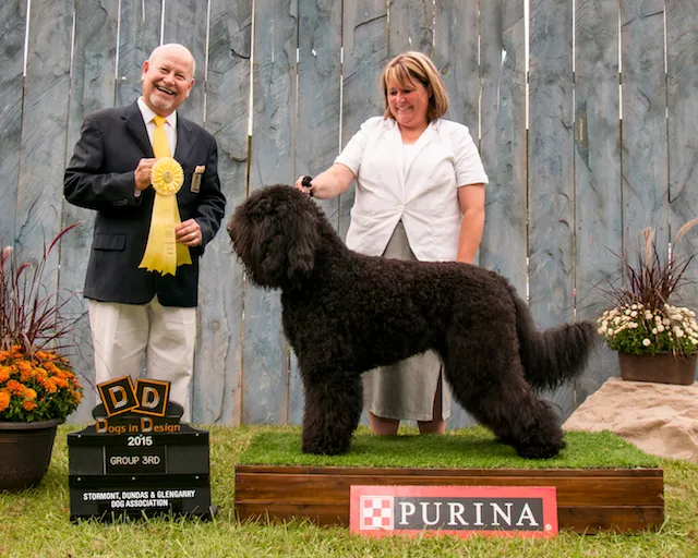 gch. treebeard's jack of all trades