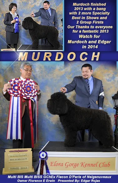 murdoch